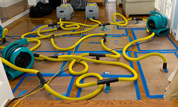 Professional Water Damage Repair technician working in Painesville, OH